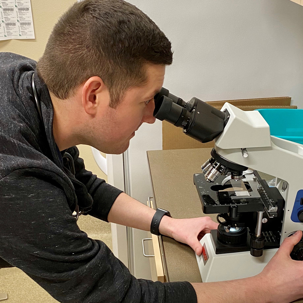 josh2---web program overview - looking through microscope