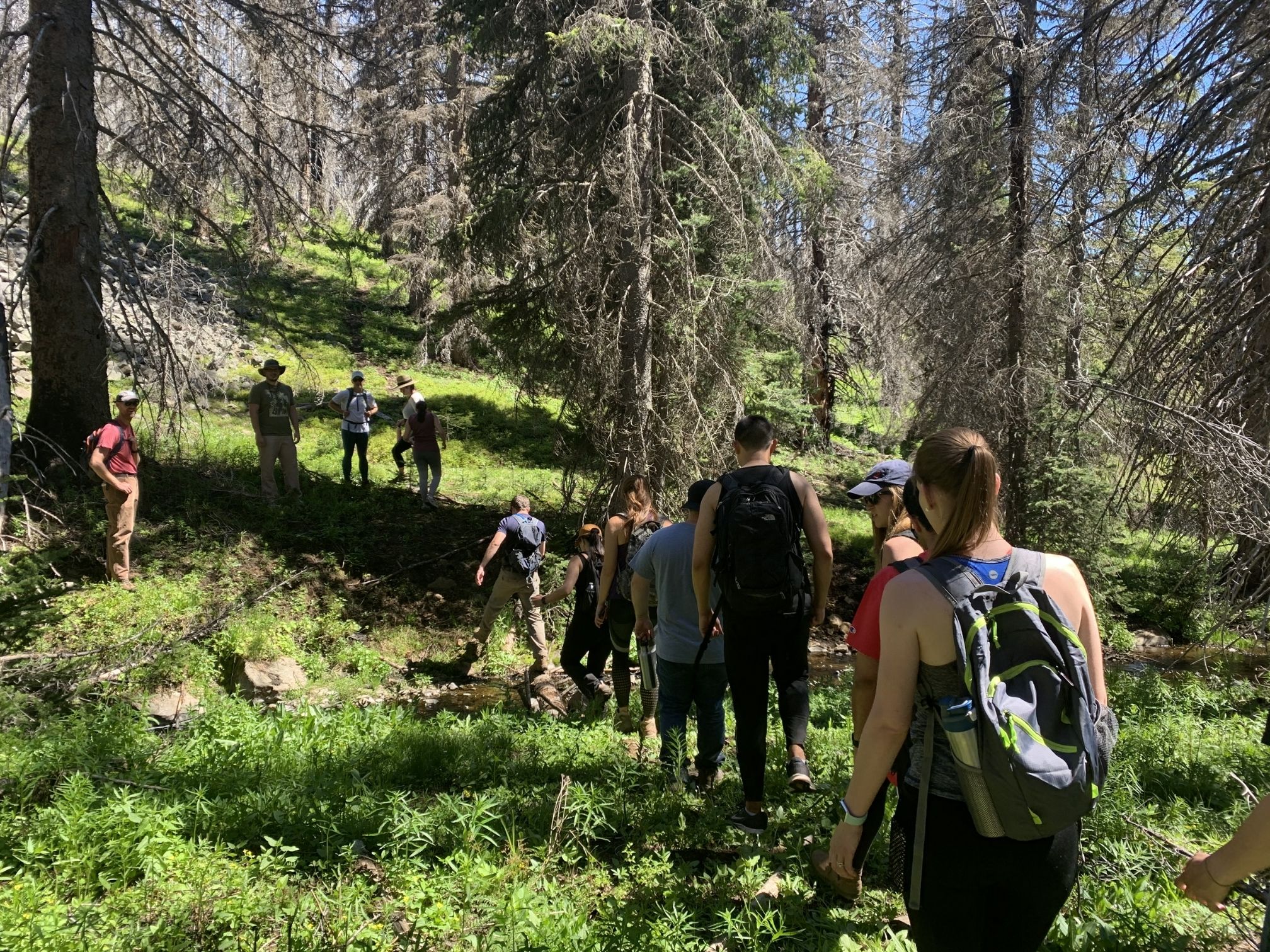 Forest Hike with Residents 2020