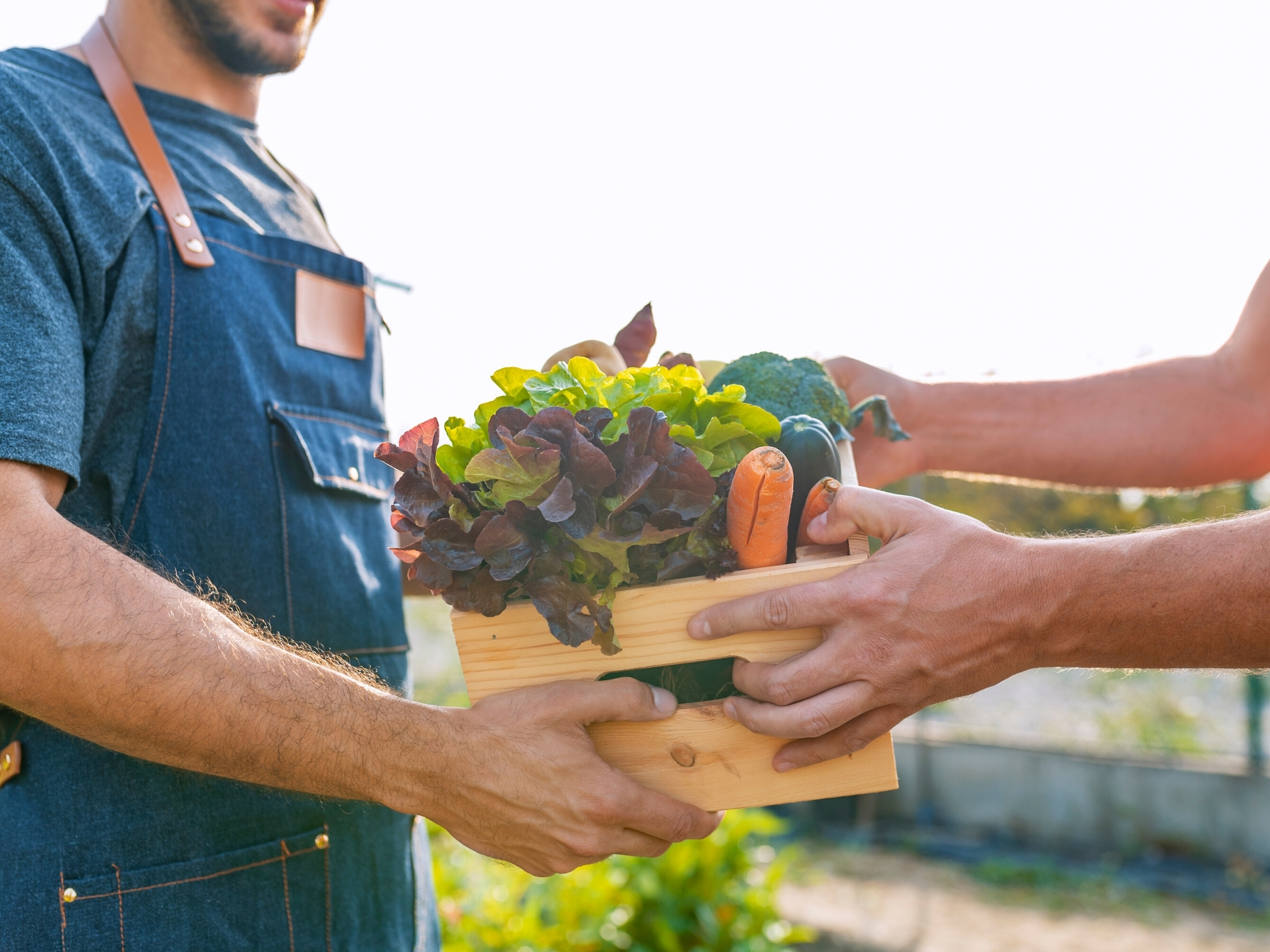 Yakima Agriculture and Economics