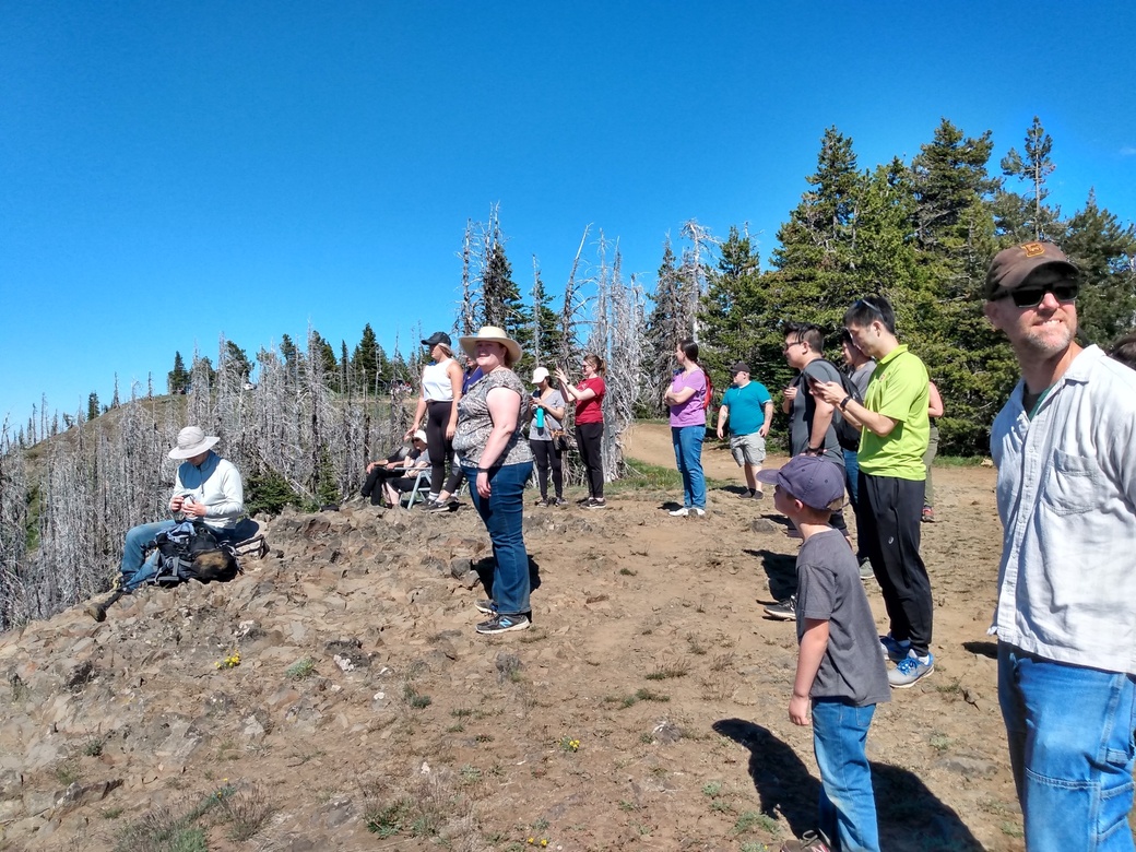 Forest Hike with Residents 2020